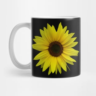 sunflower, sunflowers, bloom, summer, flower Mug